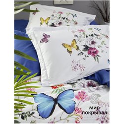 SPR-571 Rosalinda (250 TC Satin) Firstchoice Superior Digital Satin 2